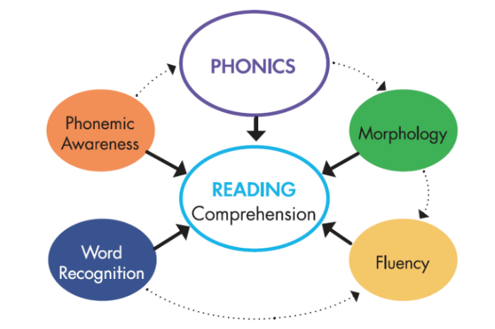 Phonics, Reading, And Me - Science Of Reading | Learning Without Tears